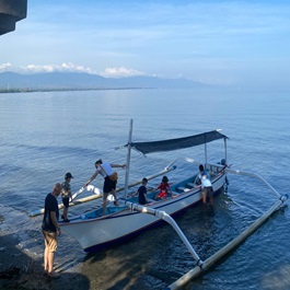 Dolphin Watching