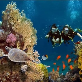 Snorkeling